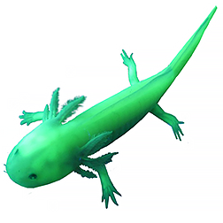 Green Fluorescent